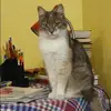 Отзыв от Ульяна Завьялова